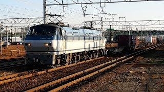 2016/12/19 JR貨物 5073レ EF66-129 稲沢駅