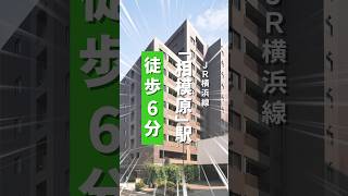 JR横浜線・相模原駅が最寄りの学生マンション、レジディア相模原です