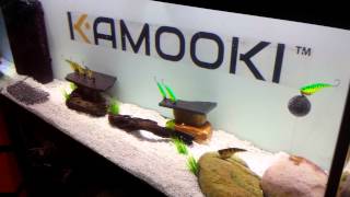 Kamooki Lures SmartFish