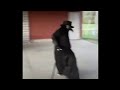 plague doctor Gangsta Paradise My meme - Elmo0X