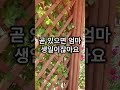 새벽마다 몰래 집 나가는 베트남 며느리에게 숨겨진 비밀