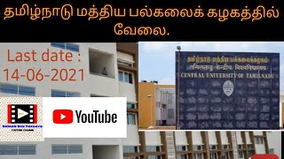 தமிழ்நாடு மத்திய பல்கலைக்கழகத்தில் பணி