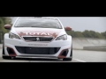 peugeot sport 308 racing cup