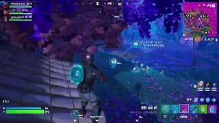 寝る前に遊ぶんやで～【FORTNITE/フォートナイト】#生配信   #参加型   #雑談