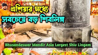 উপমহাদেশের সব চেয়ে বড়ো শিবলিঙ্গ | Baba Bhusandeswar Temple | Odisha | Digha Sightseeing | India