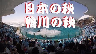 鴨川シーワールド２０１８　シャチパフォーマンス３２８　GoProで日本の秋、鴨川の秋を４Ｋで撮ってみた　killer whale show