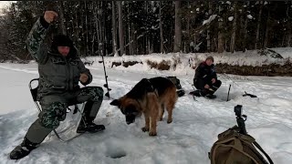 Горная рыбалка-В поисках Тайменя-Фильм третий.