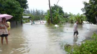 Koh Samui Flooding bangrak mangrove river 29th Mar.2011 サムイ島　洪水の様子