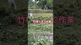 公園の斜面草刈り後の雑草処理作業🤣熊手が壊れて、苦肉の策の竹棒一本での作業😂何とスッキリ・サッパリ完了🤗　#ボランティア活動 #草刈り