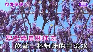 放袂開~江蕙~女C調~伴奏~導唱(丙)