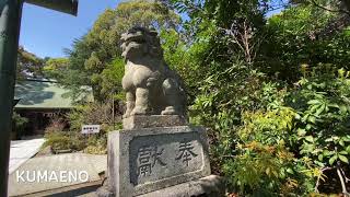 Odawara Park,Temple and Lake vlog#23