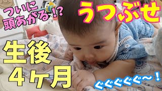 うつぶせ練習に密着！生後4ヶ月の赤ちゃんが頑張る【首すわりベビー】