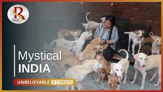 Meet "Dog Mother" Pooja Who Feeds & Keeps 450 Stray Dogs in Her Home