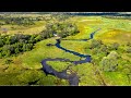 Embark on a Spectacular Safari Journey: Exploring Our Captivating Destinations - African Bush Camps