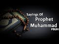 Best Quotes Of Prophet Muhammad PBUH