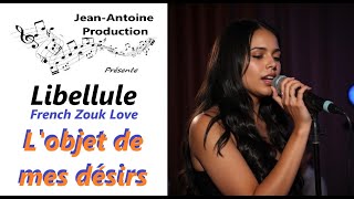 French Zouk Love - L'objet de mes désirs - Libellule - #jeanantoine33 #frenchzouk #libellule