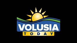 Volusia Today - Dive into the world of sea turtle nesting in Volusia County