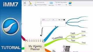Text Editor - iMindMap 7
