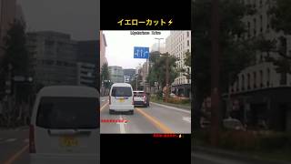 イエローカット⚡️黄色の車線境界線は…🤦‍♂️