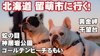 【フレブル こまきな　車中泊の旅】北海道 留萌市へ行く！　Frenchbulldog