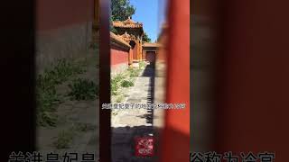 北京故宫的冷宫在哪里？原来就在紫禁城东北角，大白天也是阴森森  #冷宫 #故宫最神秘的地方 #历史故事