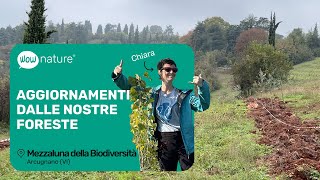 Mezzaluna della Biodiversità (Ott '24) | Aggiornamento dalle nostre foreste