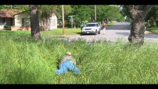 Code Violation PSA - Tall Grass