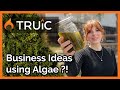 A Sustainable Business You Can Start at Home | Algae Farm Business Ideas