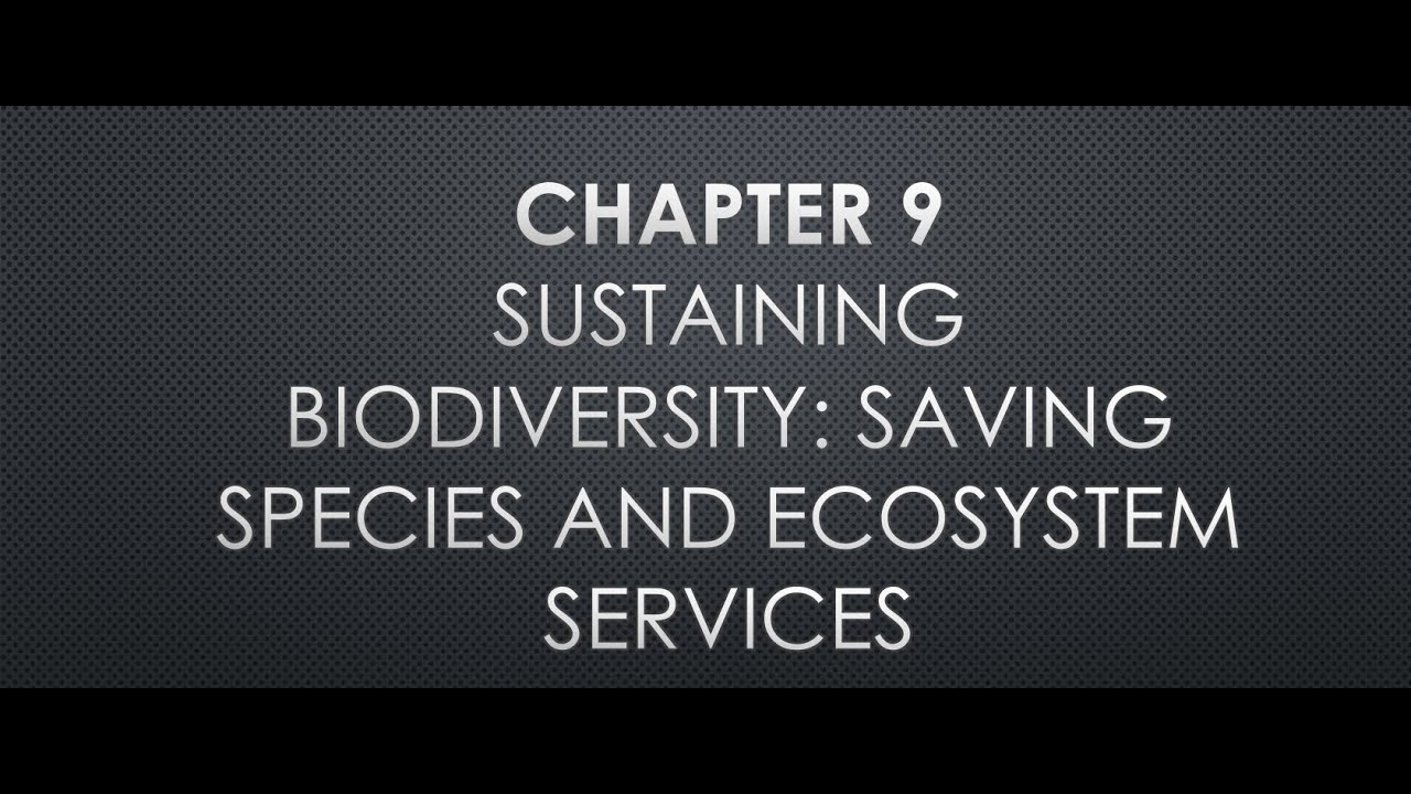 Apes Chapter 9 Presentation Youtube