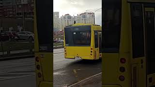 МАЗ 203.076 по 96 марш. #transport #bus