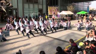 第13回浜松がんこ祭1日目(2013/3/16)「信州大学YOSAKOI祭りサークル 和っしょい」