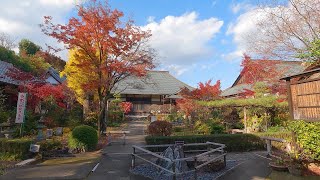 京都府八幡市さんぽ　京阪・石清水八幡宮駅ー飛行神社ー単伝庵（らくがき寺）ー安吾橋ー東高野街道ー善法律寺ー高良神社ー神応寺