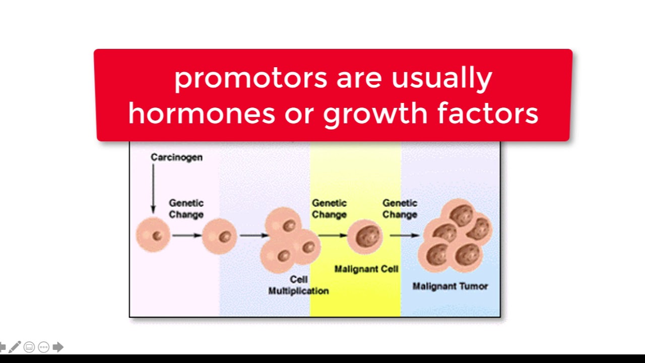 Neoplasia Lecture 9 Part 1 Youtube