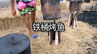 用铁桶烤鱼，不用去除鳞片和内脏，却非常受欢迎#美食 #烤鱼