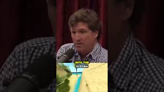 Question Everything Shorts