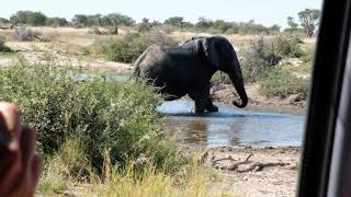 Khutse water hole