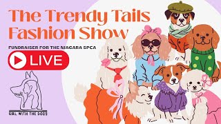 The Trendy Tails Fashion Show LIVE! | Girl With The Dogs Fundraiser