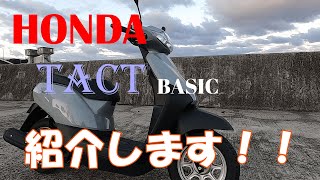 HONDA TACT BASIC 　紹介！！