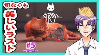 【大人の低音ボイス】クリア！※ネタバレ注意 まさかの展開に涙「Stray」PS5版 #5～最終回～