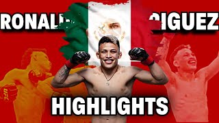 MONTAJE DE LAS PELEAS DE LAZYBOY! LUIZ RONALDO RODRIGUEZ  HIGHLIGHTS!