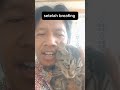 Kucing ku ada banyak #catlovers #kucingabuabuyanglucu #anakkucinglucuimutgemesin #bahasabayi