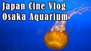 Japan Cine Vlog 003 - Osaka Aquarium「大阪海遊館」