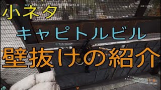 division2[小ネタ]壁抜け方法の紹介 キャピトルビル