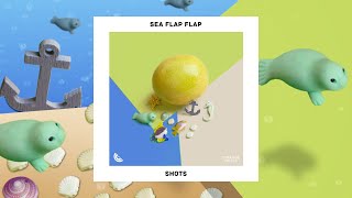 Shots [Dance Fruits Release]