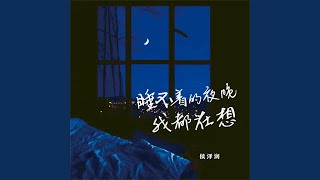 睡不着的夜晚我都在想