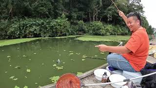 水草が生い茂る池は新べら放流した直後みたいな釣りが楽しめる