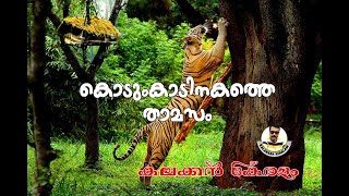 കാടിനുള്ളിലെ മരവീടും,കാവലിന് ആനകളും|MUTHANGA WILD LIFE|JEEP SAFARI|FAMILY STAY IN FOREST|WILD LIFE