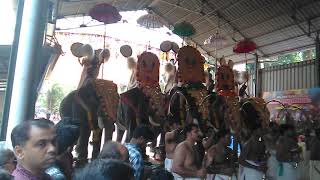 Aameda ulsavam 2018