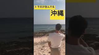 真夏！！トラ太が住んでる沖縄県はもう半袖日和の気候。