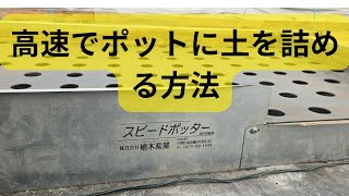 スピードポッターを使った土詰め→仮植